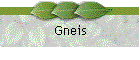 Gneis