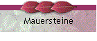 Mauersteine